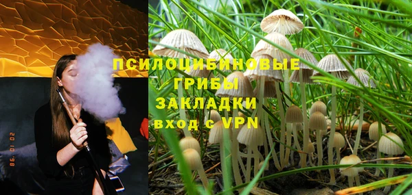 ГАЛЛЮЦИНОГЕННЫЕ ГРИБЫ Абаза
