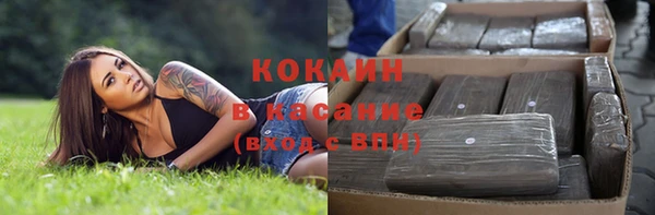 ГАЛЛЮЦИНОГЕННЫЕ ГРИБЫ Абаза
