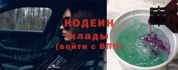 ГАЛЛЮЦИНОГЕННЫЕ ГРИБЫ Абаза