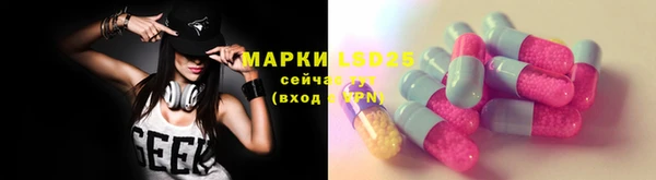 ГАЛЛЮЦИНОГЕННЫЕ ГРИБЫ Абаза