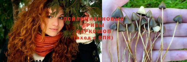 герыч Алексеевка