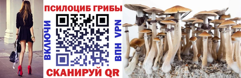 цены наркотик  Сарапул  Галлюциногенные грибы Psilocybe 